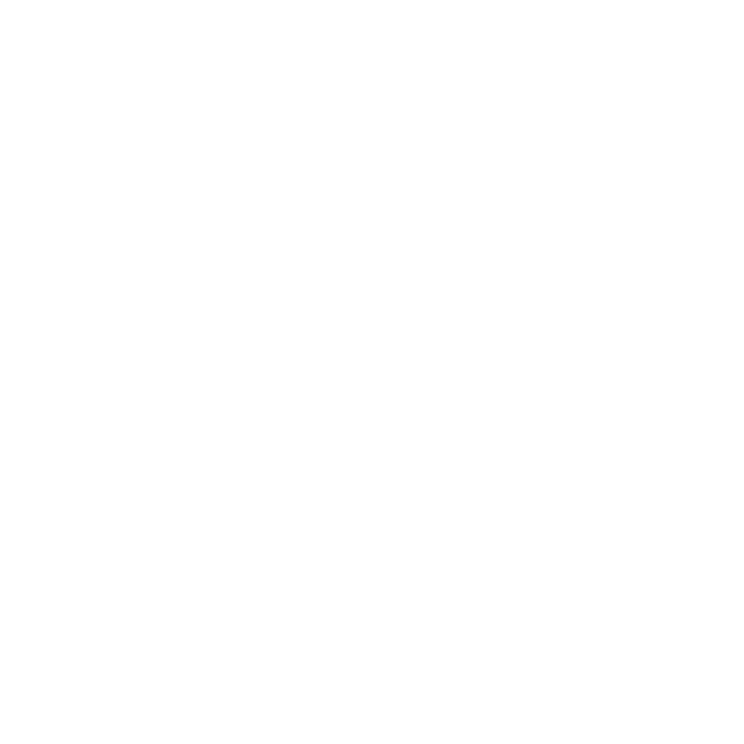 Numy's Pizza & Zone - Logo de la pizzería